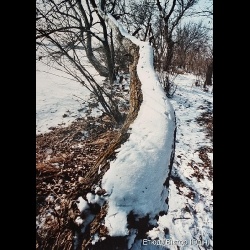 Південь-2008_31