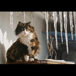 Південь-2008_55