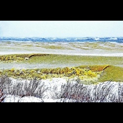 Прихненко Зимовий шторм