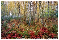 Південь-2008_14