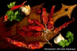 Південь-2008_56