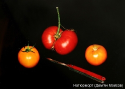 Південь-2008_57